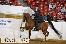 14buck_1477 proof