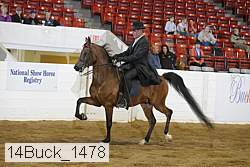 14buck_1478 proof