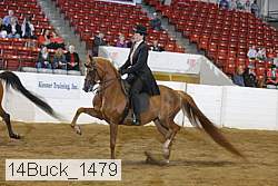 14buck_1479 proof