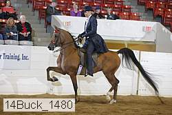 14buck_1480 proof