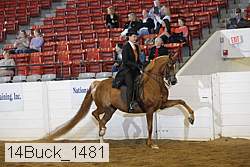 14buck_1481 proof