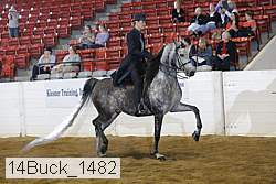 14buck_1482 proof