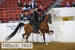 14buck_1483 proof