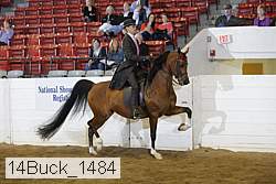 14buck_1484 proof