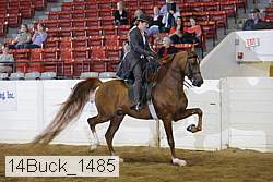 14buck_1485 proof
