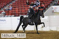 14buck_1486 proof