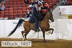 14buck_1487 proof