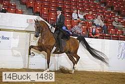 14buck_1488 proof