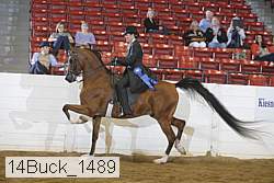 14buck_1489 proof