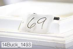 14buck_1493 proof