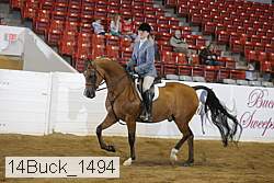 14buck_1494 proof