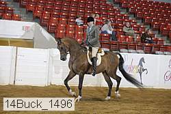 14buck_1496 proof