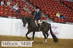 14buck_1498 proof