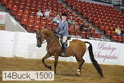 14buck_1500 proof