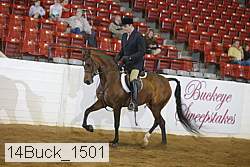 14buck_1501 proof