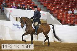 14buck_1502 proof