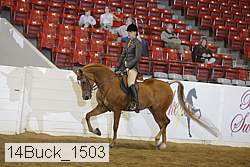 14buck_1503 proof