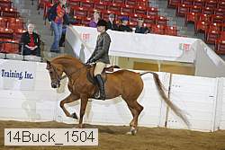 14buck_1504 proof
