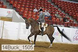 14buck_1505 proof