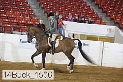14buck_1506 proof