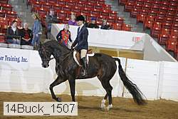 14buck_1507 proof