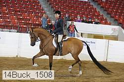 14buck_1508 proof