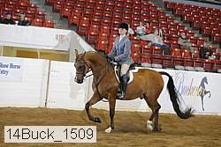 14buck_1509 proof