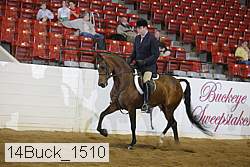 14buck_1510 proof