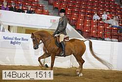 14buck_1511 proof