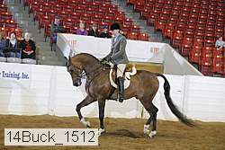 14buck_1512 proof