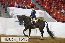 14buck_1513 proof