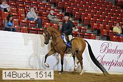 14buck_1514 proof