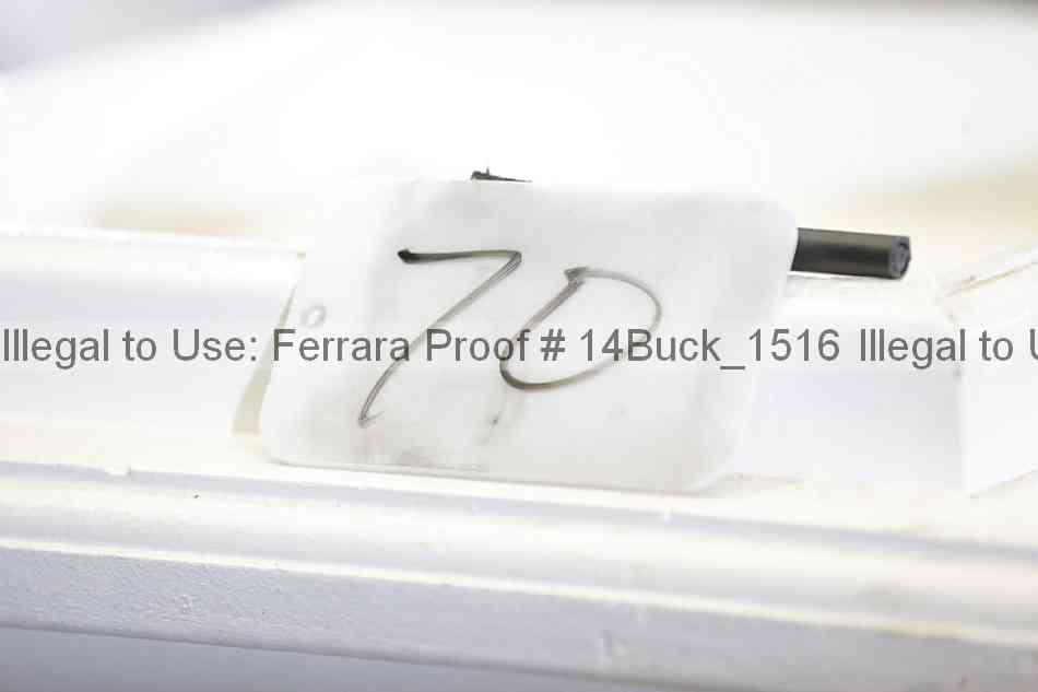 Proof 14buck_1516