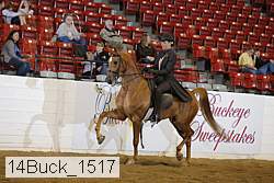 14buck_1517 proof