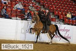 14buck_1521 proof