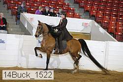 14buck_1522 proof