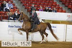 14buck_1526 proof