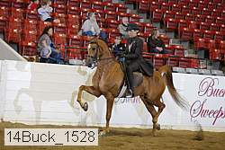 14buck_1528 proof