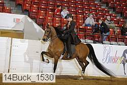 14buck_1530 proof