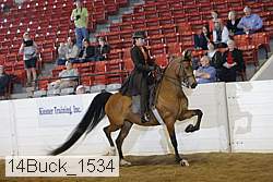 14buck_1534 proof