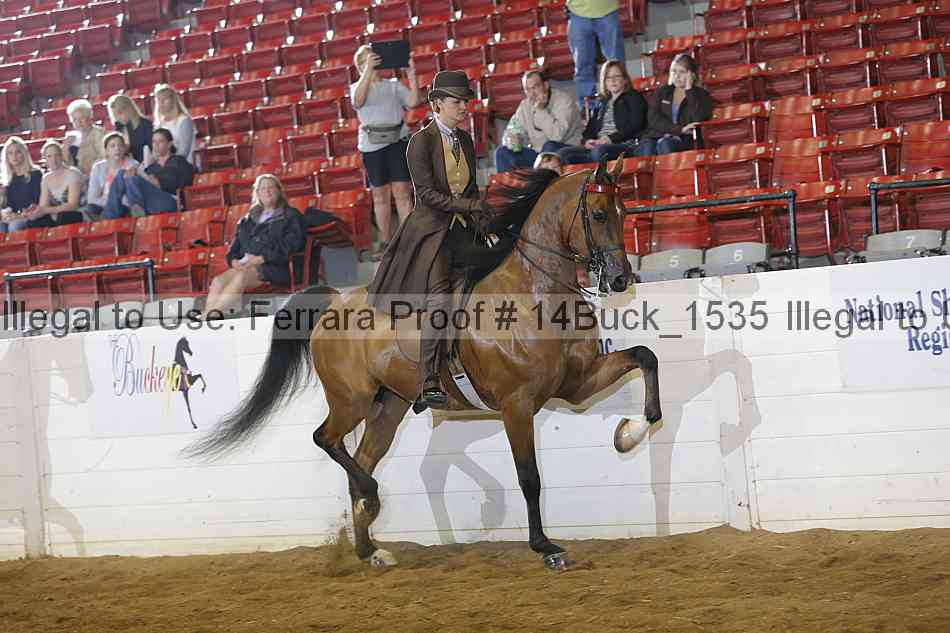 Proof 14buck_1535