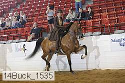 14buck_1535 proof