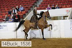 14buck_1536 proof