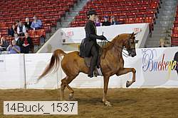 14buck_1537 proof