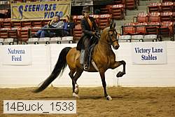 14buck_1538 proof