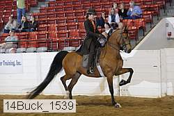 14buck_1539 proof