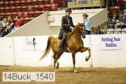 14buck_1540 proof