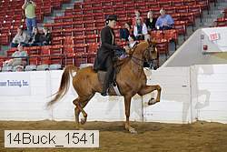 14buck_1541 proof