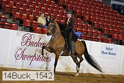 14buck_1542 proof