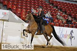 14buck_1543 proof